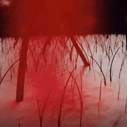 The Red Light Regrowth Cap